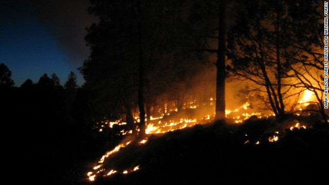 Largest Wildfire In New Mexico's History