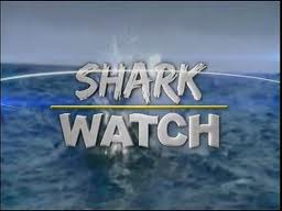 shark watch