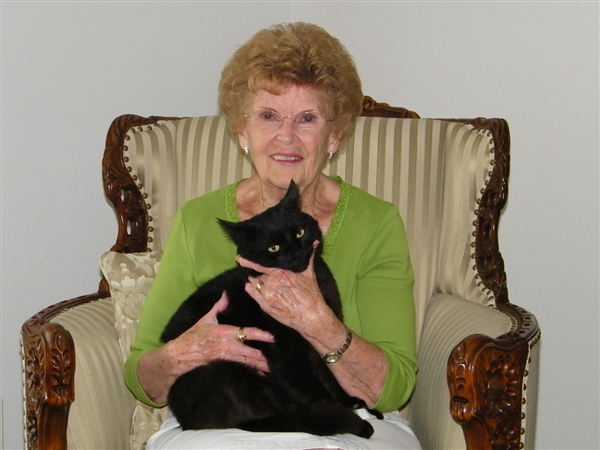 tdy-120717-cat-trekker.photoblog600