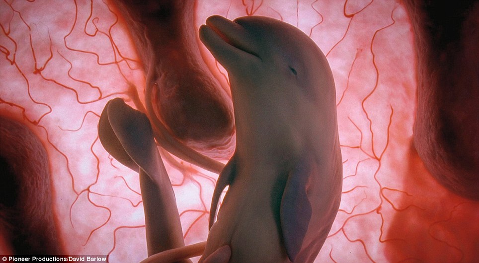 article-2193508-14B01006000005DC-225_964x530