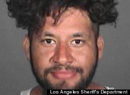 s-SERGIO-ALVAREZ-PELICAN-large