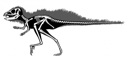 Pegomastax
