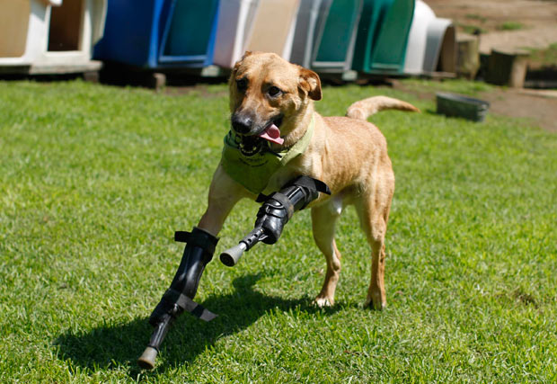 Pay-de-Limon1_620_1575054a