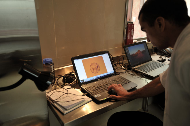 Cloning farm Argentina