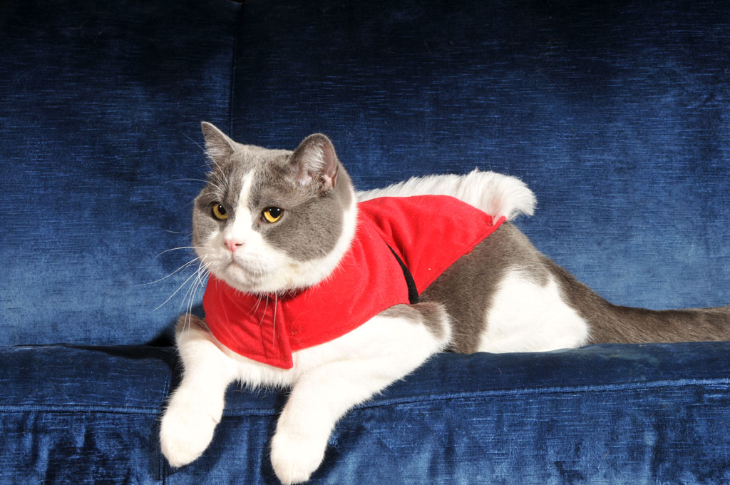 Nov14-10-grumpy-santa