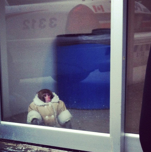 slide_268660_1859199_free